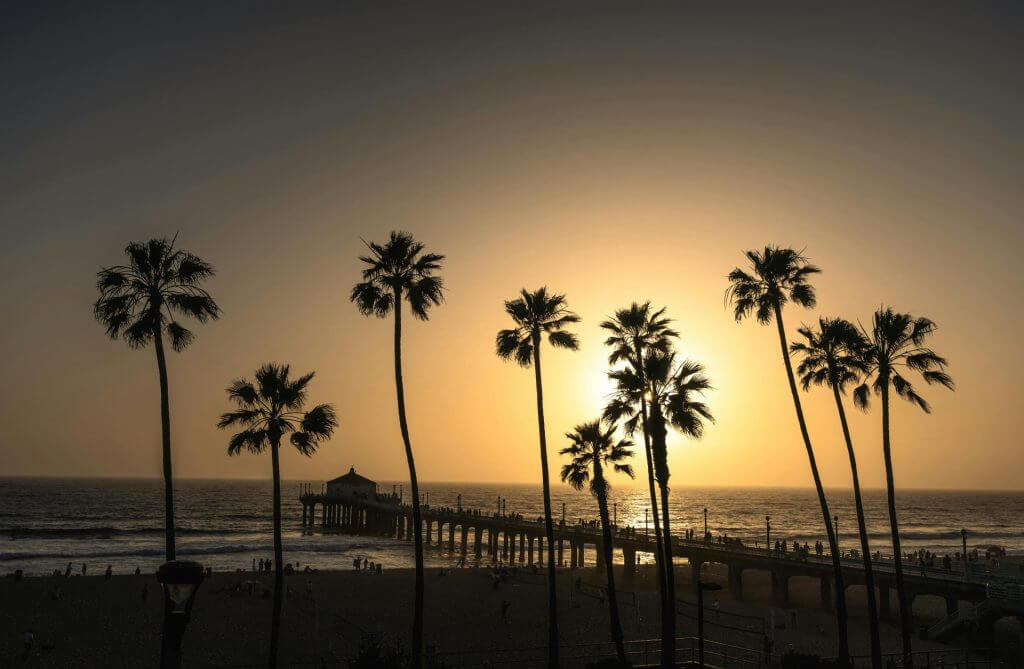 Serene sunset over Manhattan Beach Pier with tall palm trees silhouetted against the sky.