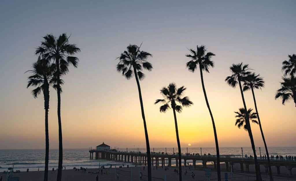 Stunning sunset at Manhattan Beach Pier with silhouetted palm trees, capturing the essence of California beach life.